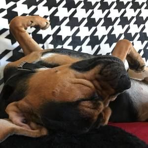 Meet your Posher, Danielle